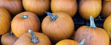 Food Travelist Pumpkins For Soup