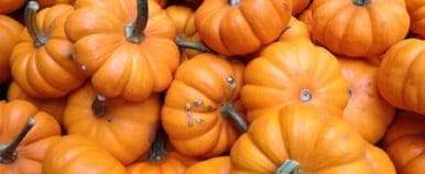 Pumpkins