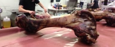 Food Travelist Weird And Wonderful_St_Lawrence Market Giant Dog Bones
