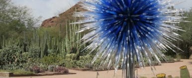 Burst of blue.