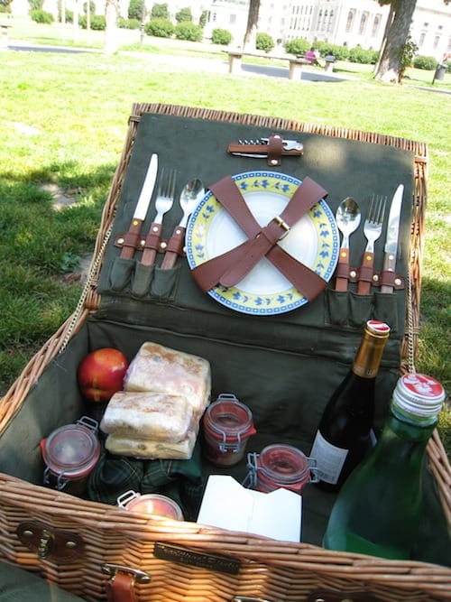 Picnic in Vienna