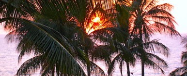 Hawaiian Sunset