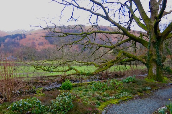 View from Rothay Garden Hotel