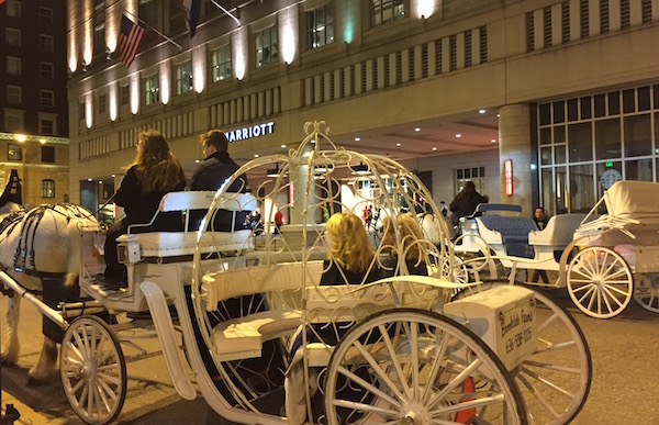 Carriage Rides of Washington Avenue STL