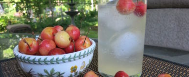Cherry Limeade Cooler Food Travelist