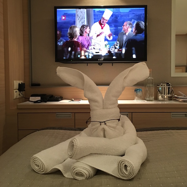 Towel Sculpture on Viking River Cruises