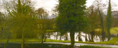 The_View_The_Pheasant_Hotel_Harome_Food_Travelist