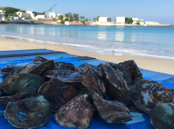 Fresh Oysters on the Mazatlan Malecon Culinary Roots