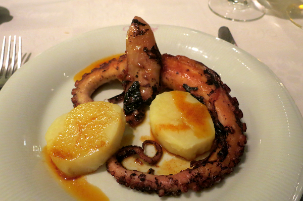 Octopus from Ushuaia