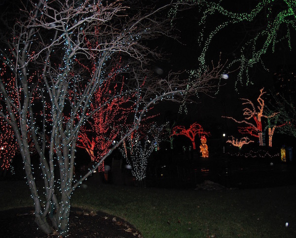 Zoo lights at Lincoln Park Zoo