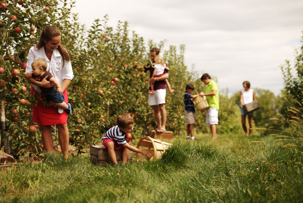 Apple Country Gettysburg PA