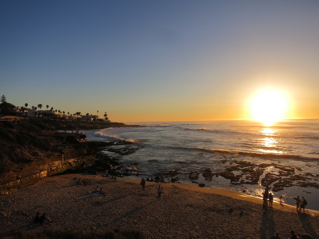 La Jolla Cove, San Diego Harbor Seal on the Beach available as Framed  Prints, Photos, Wall Art and Photo Gifts