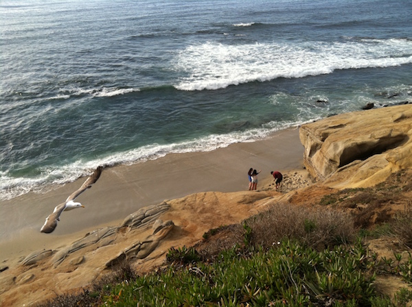 La Jolla coastline-Photo credit Robert Arends SanDiego.org