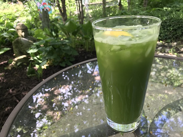 Adagio Iced Matcha Tea