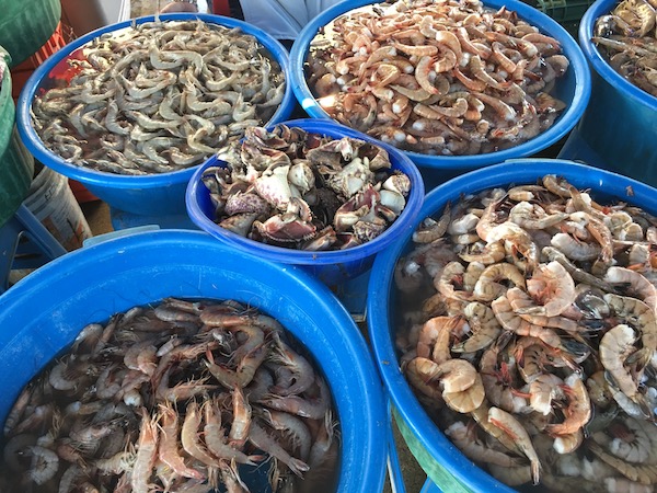 Shrimp Galore in Mazatlan