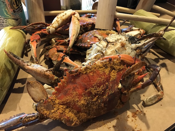 Blue Crabs in Maryland