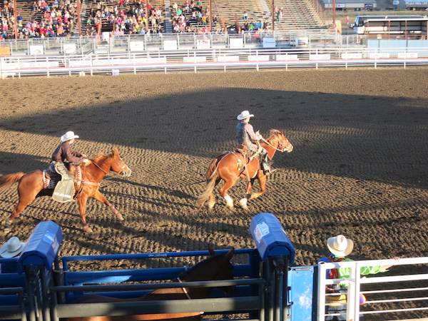 Cody Rodeo