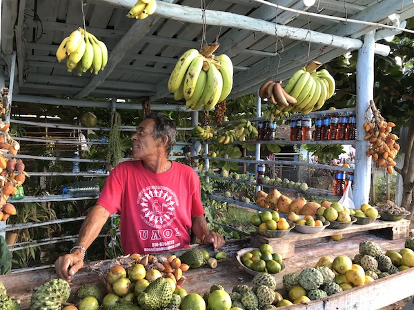 Fresh Fruits in Trinidad