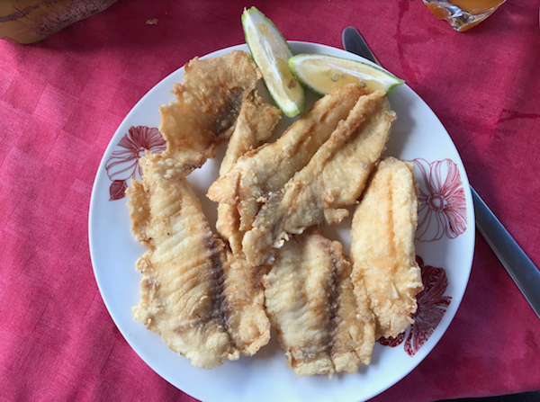 Trinidad Fish Photo