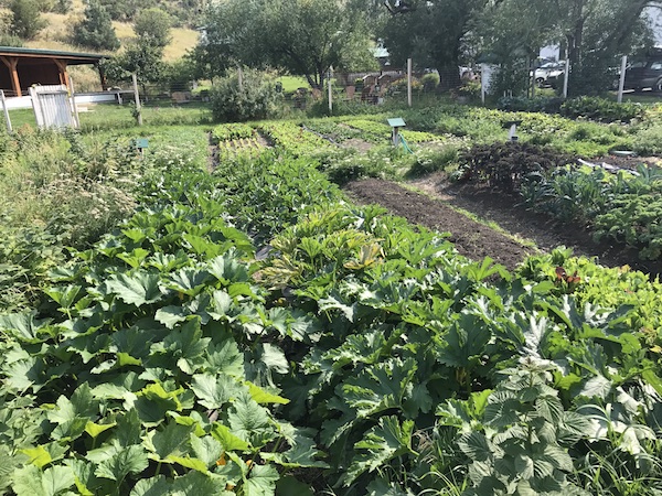 Gardens at Chico Hot Springs