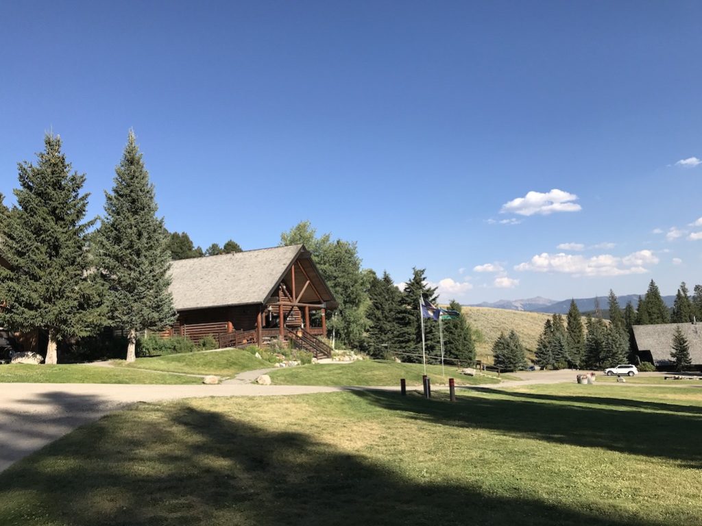 Debut Novel: Conviction by Diana Laskaris