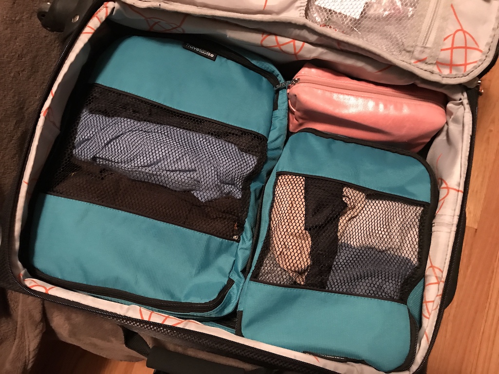 TravelWise Packing Cubes