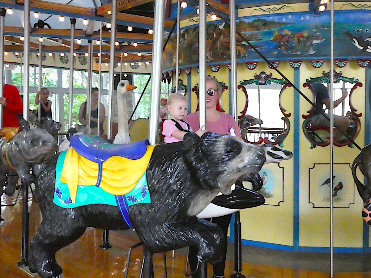 Conservation Carousel at the Henry Vila Zoo Madison WI