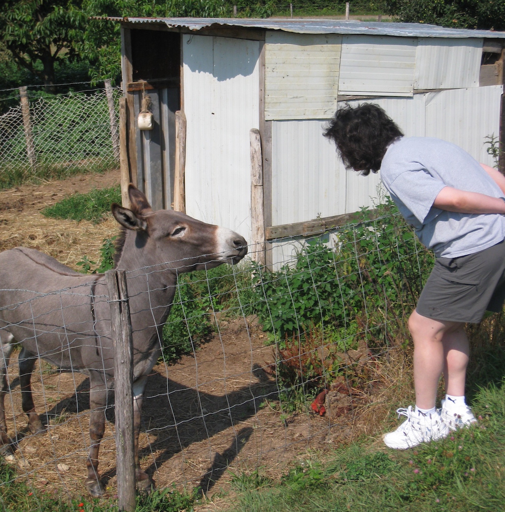 Diana visiting a donkey in Burgundy, France