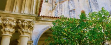 Lemon Trees in the Courtyard of Convento of Cristo Tomar
