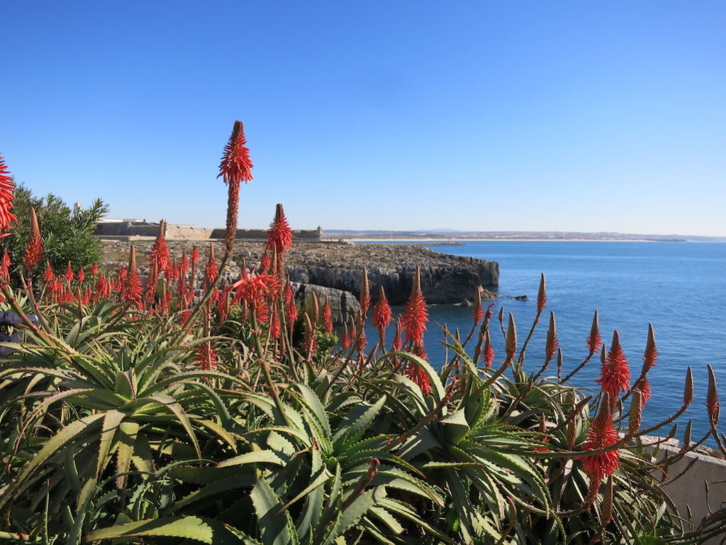 How Portugal Stole Our Hearts Portugal dream destination