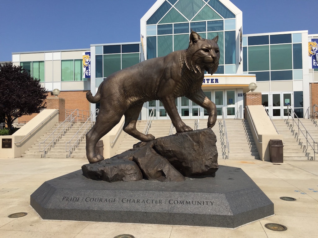 Wildcat statue at Johnson & Wales Providence Rhode Island