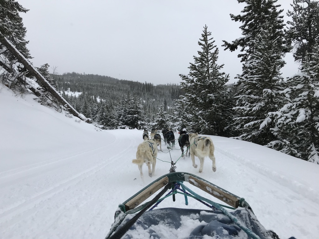 Winter Adventures In Unbelievably Beautiful Yellowstone Country