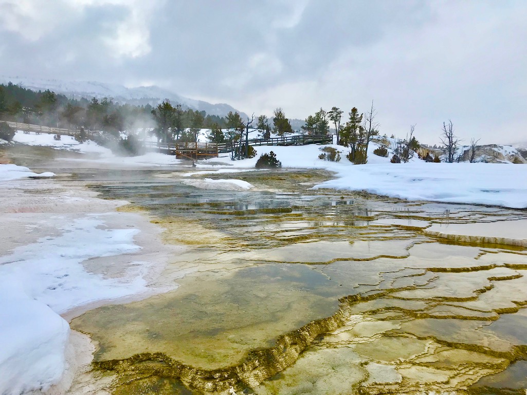 Mammoth Hot Springs Terraces Yellowstone National Park