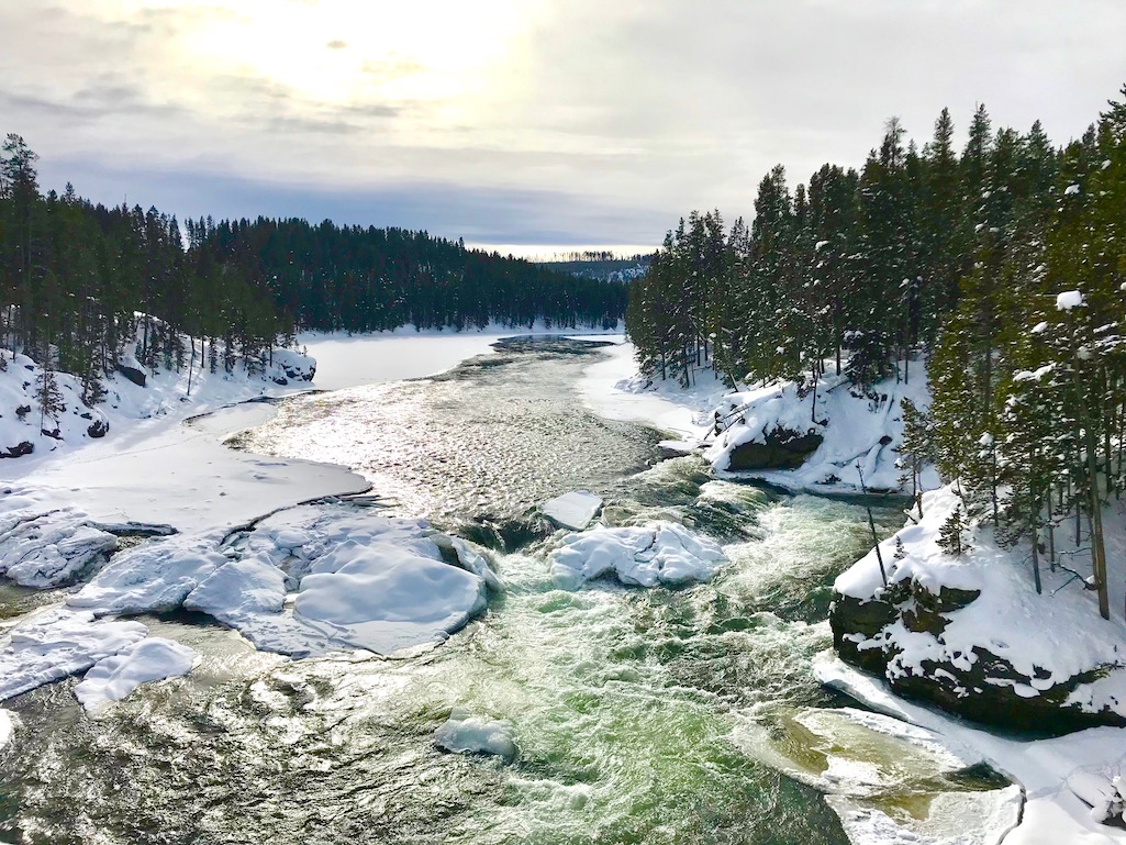 Road trip stops in Yellowstone NPS