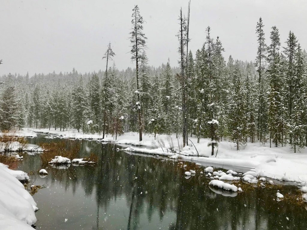 Winter Adventures In Unbelievably Beautiful Yellowstone Country