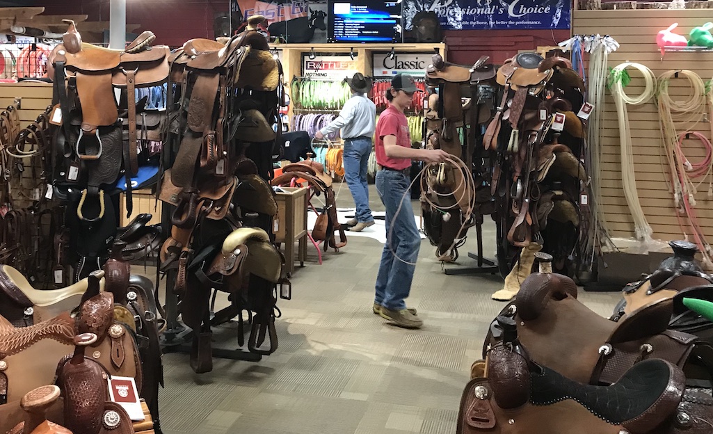 Practicing Roping in the saddle store in Stockyards City OKC