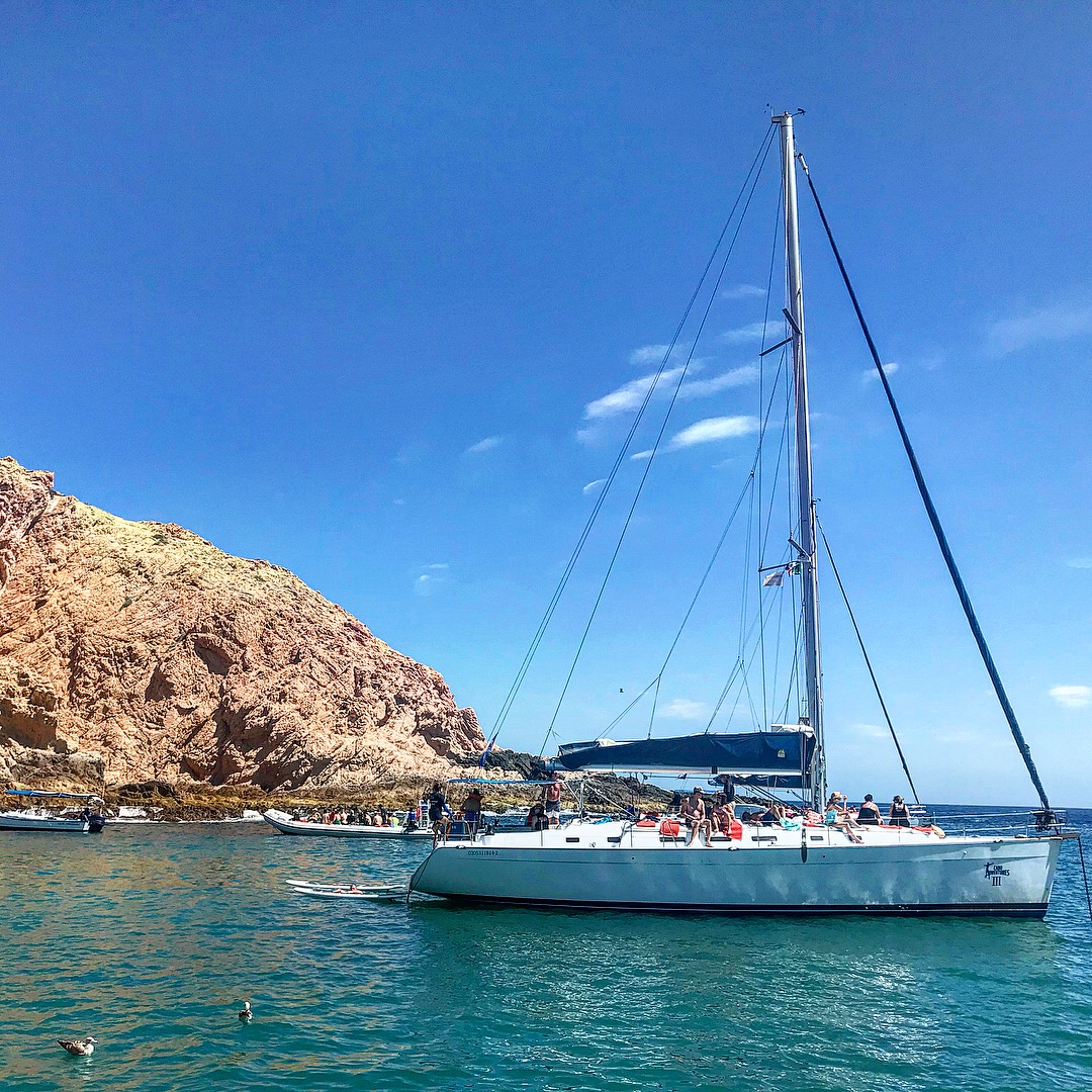 Cabo Adventures Sailing Trip