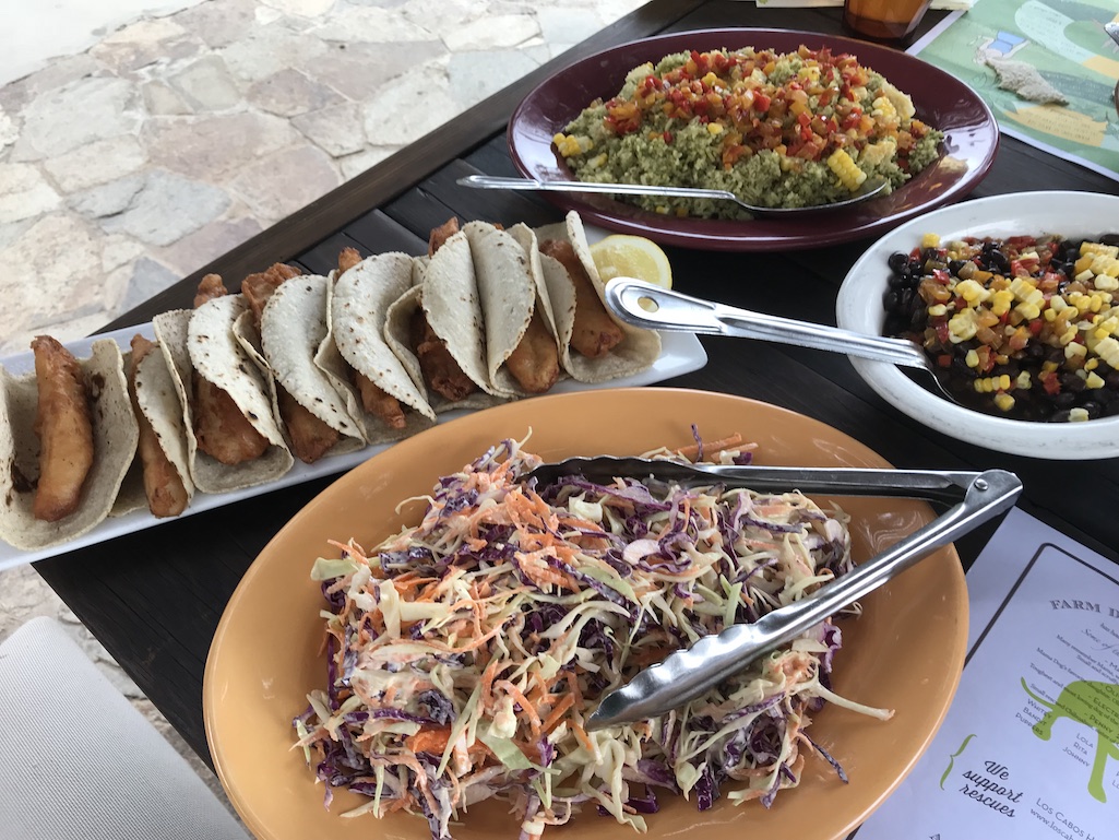 Lunch at Floras Farms Los Cabos