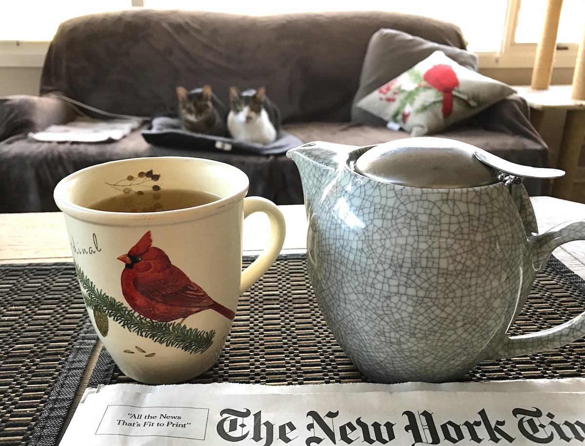 Tea with cat friends