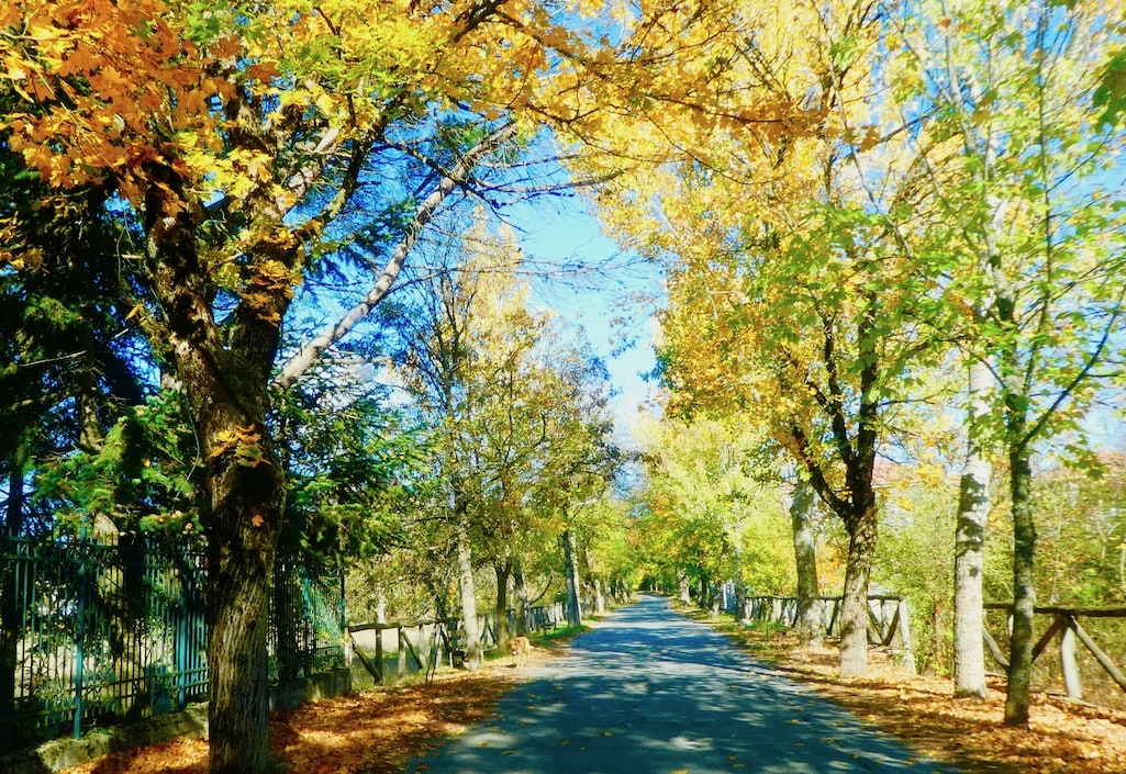 Fall in the Peloponnese Greece