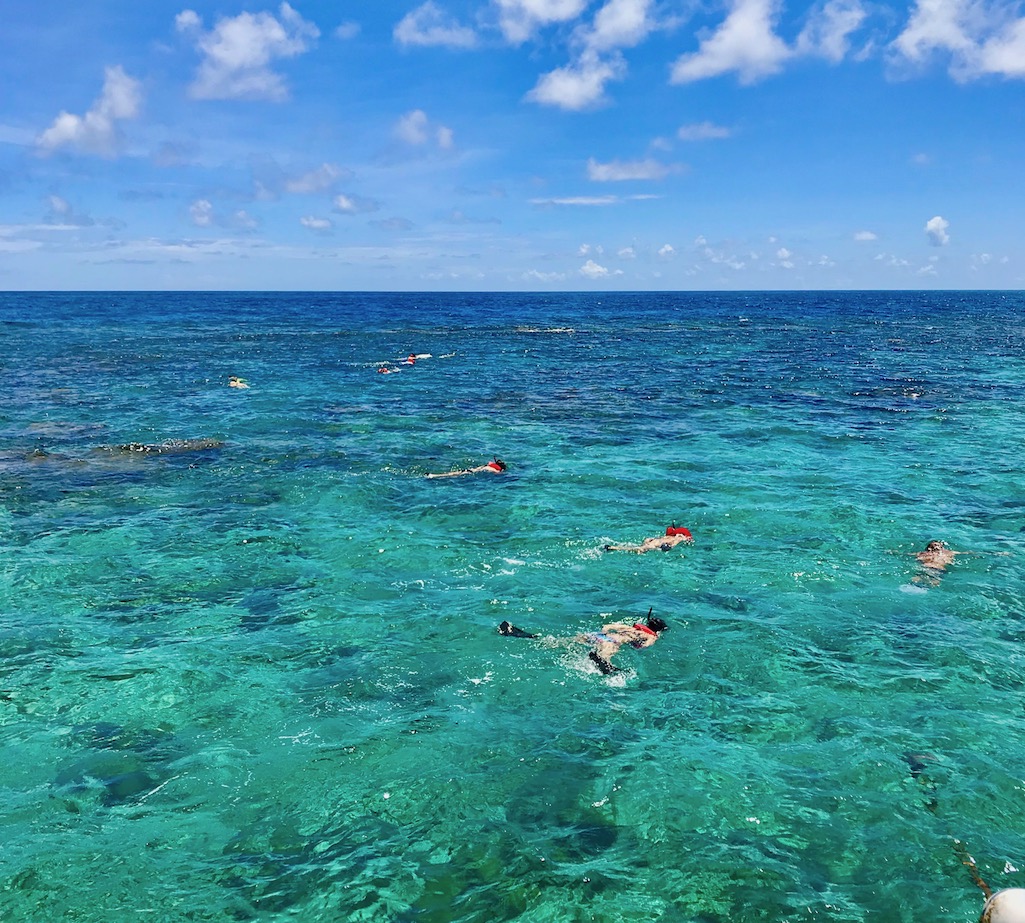 Things-To-Do-In-St-Croix-Snorkeling-Off-Buck-Island-St.-Croix-Islands