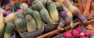 Ann Arbor Farmers Market