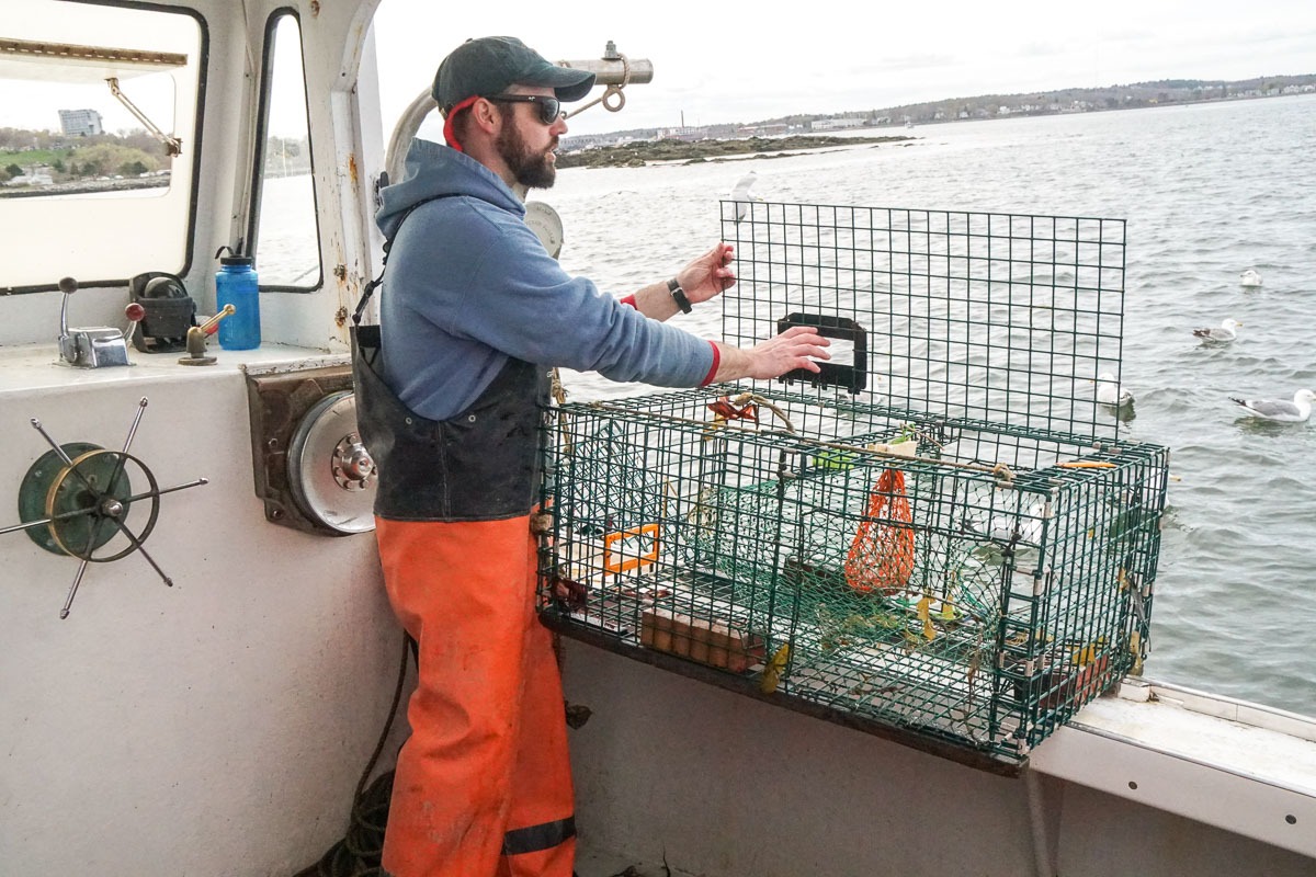 Filling lobster traps on Lucky Catch Cruise of Casco Bay