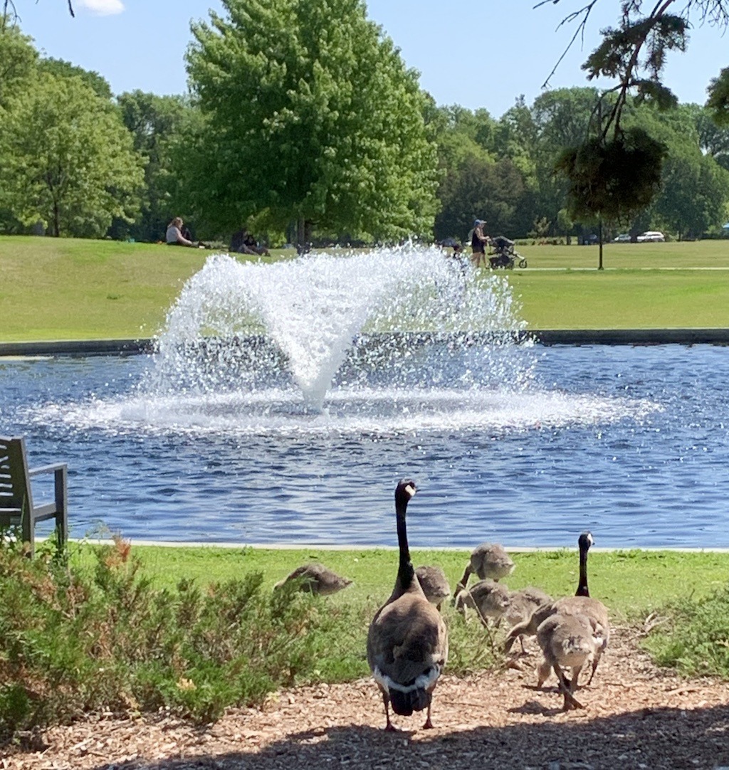 Assiniboine Park in Winnipeg