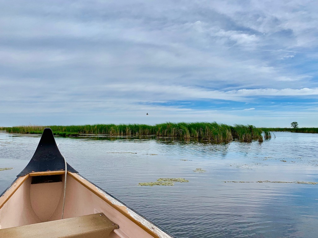 Oak Hammock Marsh Things to do in Winnipeg