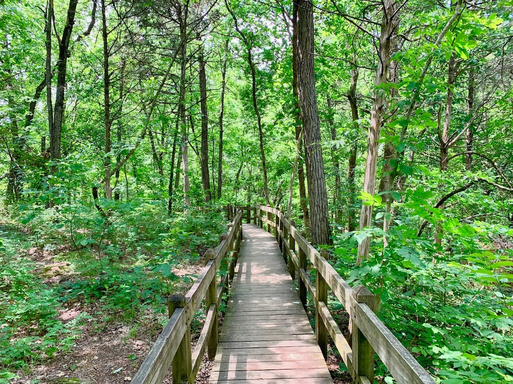 Bridge at Natural Bridge State Park