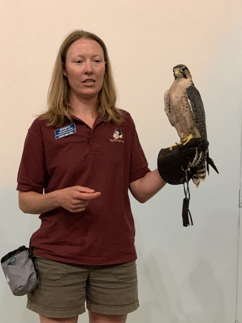 World Center for Birds of Prey Boise Idaho