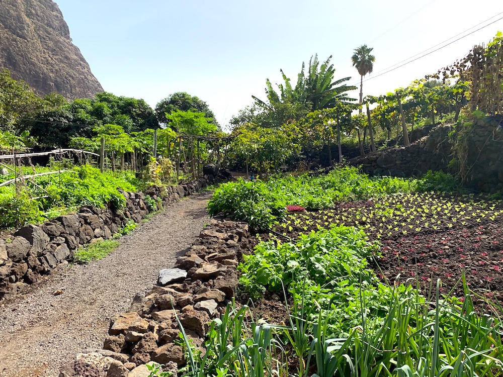 Lush grounds at Faja dos Padres Madeira