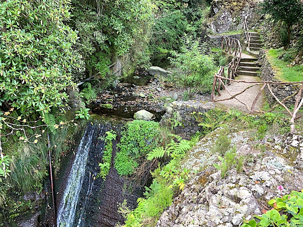 Many lush paths and to follow in Madeira