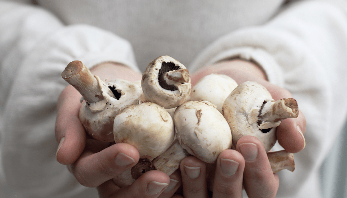 Button Mushrooms